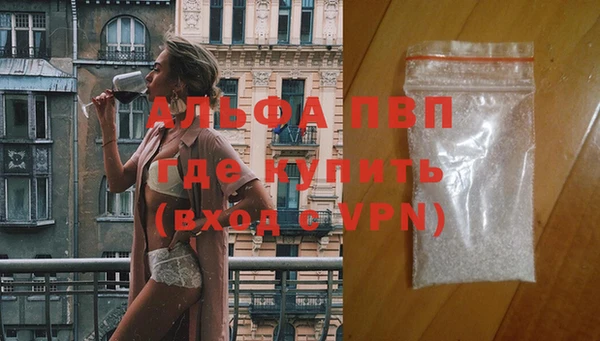 прущие грибы Бежецк