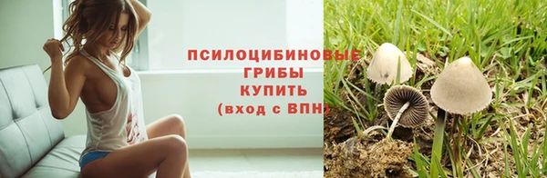 а пвп мука Арсеньев