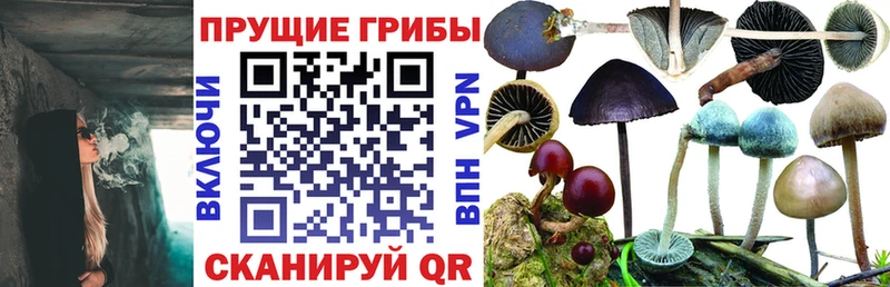 Псилоцибиновые грибы мухоморы  где купить наркоту  Белоярский 